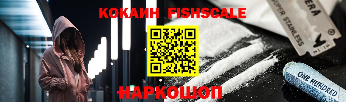 Cocaine  Cocaine VHQ  Вход с VPN  Елизово  COCAIN Fish Scale 