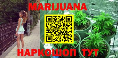 сатива Кулебаки