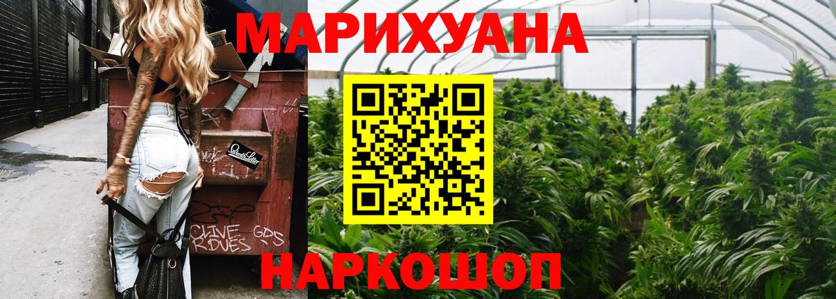 Каннабис план Елизово